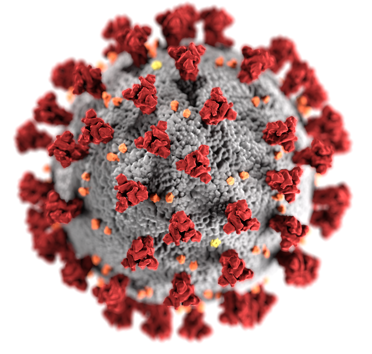 Covid-19 Virus image